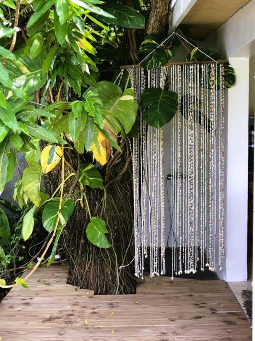 Bungalow Tiarii, Avec Acces Direct A Une Plage Privee Tevaitoa Buitenkant foto