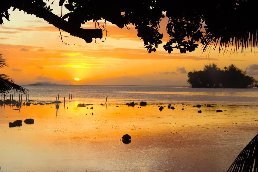 Bungalow Tiarii, Avec Acces Direct A Une Plage Privee Tevaitoa Buitenkant foto